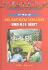 Die Grossstadtfüchse und der Geist
