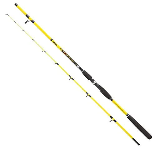 JENZI Continuum 2,40 m 20-100 g Angelrute - Hochwertige Angelrute mit einer Wurfgewicht von 20-100 g, ideal für vielseitigen Einsatz beim Angeln. Perfekt für Anfänger und Profis.