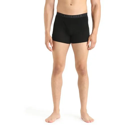 ICEBREAKER Herren Boxershorts