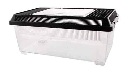 Faunarium von Dragon