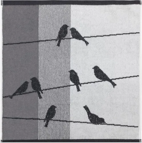 Geschirrtuch Küchentuch Frottee 50 x 50 cm Spültuch Küche Spülen Zugvögel Kracht