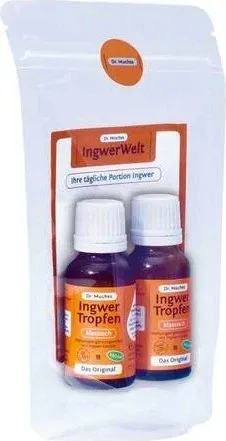 INGWERTROPFEN Dr.Muches 20 ml