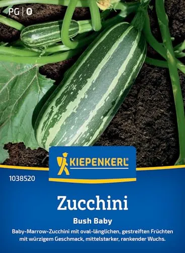 Zucchini Bush Baby , Baby von Kiepenkerl