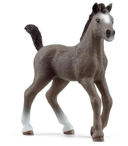 SCHLEICH - Hengstfohlen Selle Français - - SHL13957