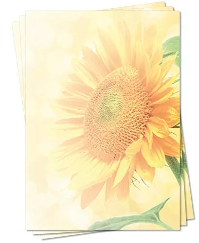 Motiv Briefpapier (Sommer-5094, DIN A4, 25 Blatt) Briefpapier mit großer goldener Sonnenblume im Sommer-Sonnenlicht