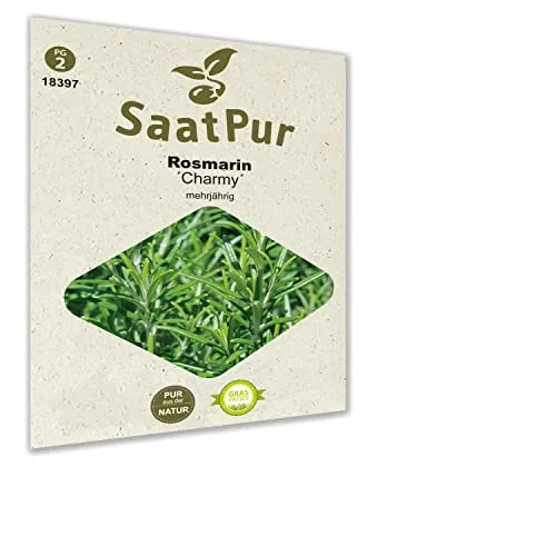 SaatPur Rosmarin Samen, Saatgut für ca. 50 Pflanzen mehrjährig Kräutersamen