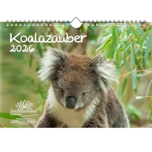Koalazauber DIN A4 Kalender für 2026 Koalabären, Koala - Seelenzauber
