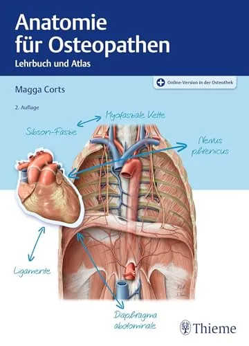 Anatomie für Osteopathen: Fachbuch für Therapeuten - Medizin, umfassendes Nachschlagewerk zur Anatomie mit praxisnahen Anwendungen für Osteopathen.