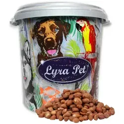 Lyra Pet® Erdnusskerne mit Haut 30 L Tonne 10 kg - Vogelfutter mit energiereichen Erdnusskernen - ideal für eine ausgewogene Ernährung von Vögeln. Frei von Zusatzstoffen, perfekt für Garten und Balkon!