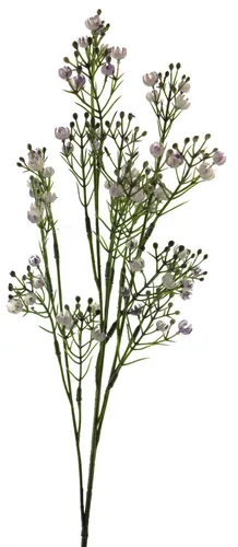 artplants Dekoblume Schleierkraut LINFENG, lila, 70 cm