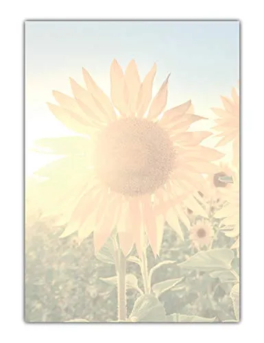 Motivpapier Briefpapier Sonnenblumen im Sonnenlicht (MPA-5199, DIN A4, 25 Blatt)