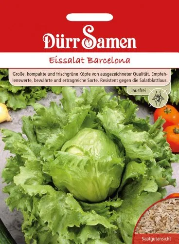Dürr-Samen - Eissalat Barcelona lausfrei Saatgut