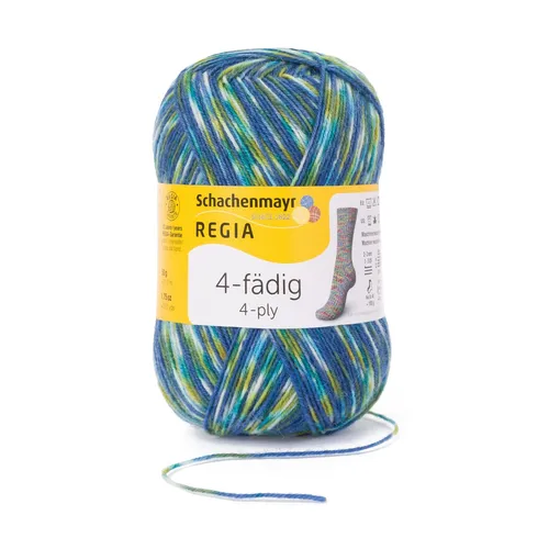 4-FÄDIG COLOR 100g von REGIA - CAMPING COLOR (09395) - 100 g / ca. 420 m Wolle