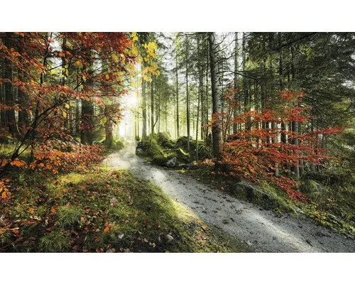 Fototapete Vlies SHX9-031 Feuerzungen 9-tlg. 450 x 280 cm von Komar