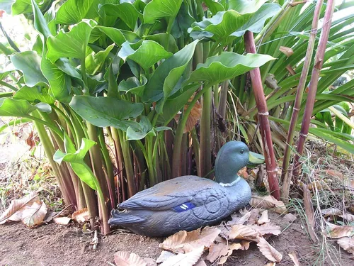 3D Tier LongLife Erpel