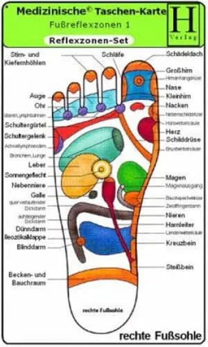 Reflexzonen Set - Medizinische Taschen-Karte: Fussreflexzonen Therapie Fusssohle, Fussrücken + Aussenseiten /Handreflexzonen Therapie: Fussreflexzonen ... Fussrücken + Seiten, Handreflexzonen Therapie