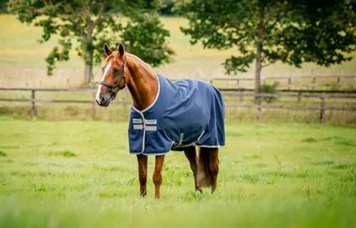 Horseware Amigo Ripstop 900D 100g Pferde-Thermodecke von Horseware