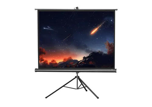 celexon Stativleinwand Economy 244 x 183 cm von celexon