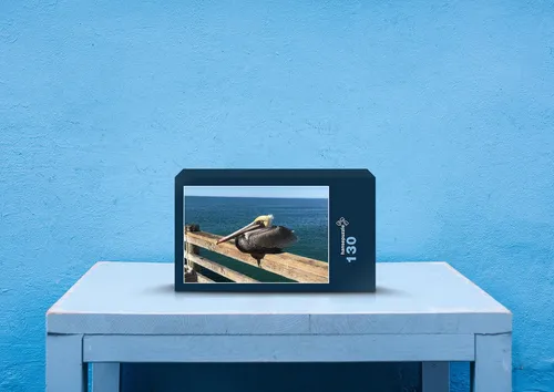 hansepuzzle 37587 - Pelikan Puzzle, 130 Teile, Tierwelt, 28,7 x 20,0cm mit hochwertiger Aufbewahrung, Kartonbox und wiederverschließbarem Beutel