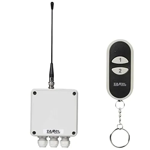 ETERO RWS-211D/N Funkschalter Set mit Sender, 2-Kanal, 1 Stück | Elektrische Geräte Steuerung mit Fernbedienung, 2-Kanal, IP56, 433,92 MHz, für Lampen, Motoren, Pumpen
