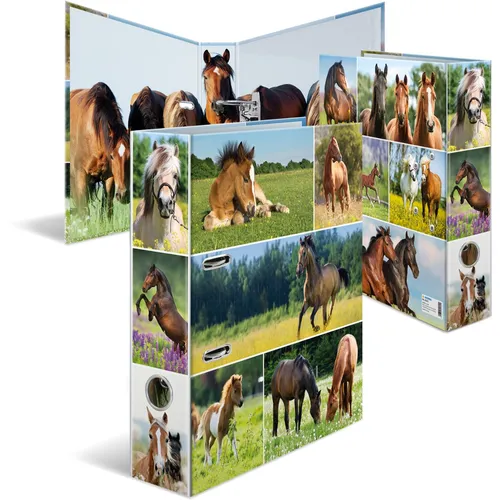 Herma Ordner A4 Pferdewiese