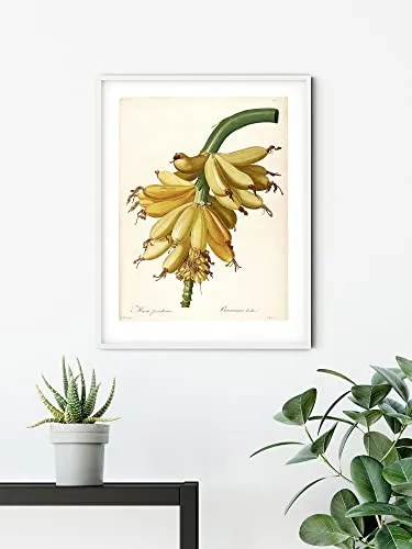 Komar Wandbild - Plantains - Größe: 50 x 70 cm - Poster, Kunstdruck, Dekoration, Wohnzimmer, Schlafzimmer (ohne Rahmen)