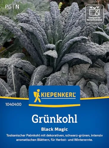 Grünkohl  Toscanischer Palmkohl 