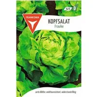 FRANKONIA Kopfsalat Frauke
