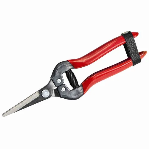 SIENA GARDEN CG1010 Premium Lese-, Ernte- und Blumenschere - Gartenwerkzeuge mit hochwertigen SK5 Carbonstahl-Klingen für präzises und filigranes Arbeiten im Garten.
