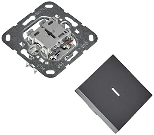 Gira 013628 Tast-Kontrollschalter 10 A 250 V~