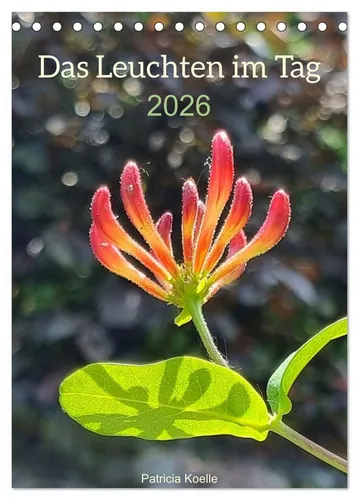 CALVENDO Wandkalender Das Leuchten im Tag (Tischkalender 2026 DIN A5 hoch), CALVENDO Monatsk