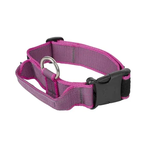 JULIUS K-9 100HA-K-PN-2015 Color & Gray K9-Halsband von JULIUS-K9