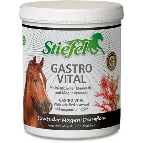 Stiefel Gastro Vital, 1 kg (32,90 EUR/kg)
