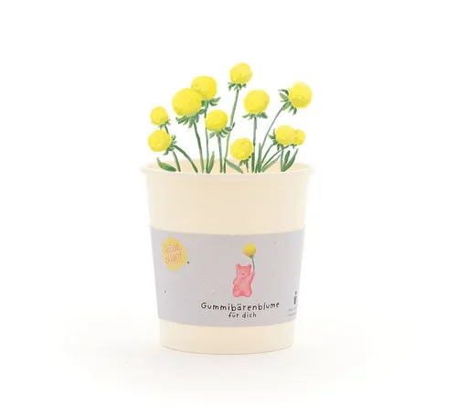 Pflanzen Gelb von Die Stadtgärtner