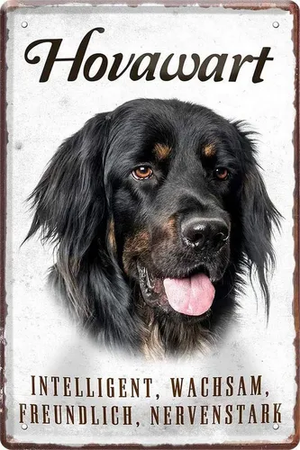 WOGEKA ART Metallbild Hunde-Rassen Steckbrief 20 x 30 cm Blechschild Haustier Hund Deko, Hovawart
