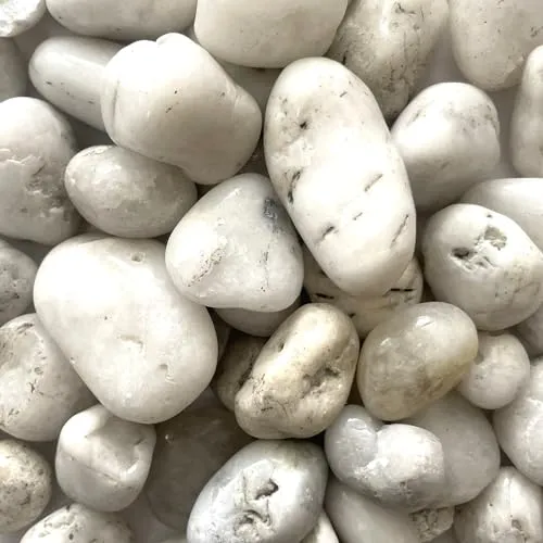 Produktbild Eurosand Flusskiesel 10-30mm 1kg Weiss Weiß, Kieselsteine Dekosteine Natursteine Dekosteine Naturdeko Gartendeko Zengarten Feng Shui
