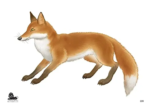 10x Stronghold Tierauflage - Grafik Fuchs - 42 x 59 cm - wasserabweisend/reißfest, Zielscheibe, Scheibenauflage für Pfeil und Bogen