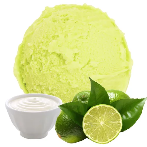 Gino Gelati Joghurt Limette Eis Speiseeis Pulver 333g von Gino Gelati