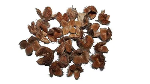 Schreiber Deko Bucheckern