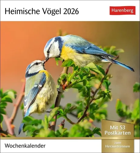Harenberg | Heimische Vögel Postkartenkalender 2026 - Wochenkalender mit 53...