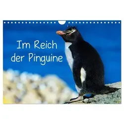 Im Reich der Pinguine (Wandkalender 2026 DIN A4 quer) - Hochwertiger Fotokalender mit 12 beeindruckenden Pinguin-Motiven. Ideal als Geschenk für Tierliebhaber und perfekt für eine stilvolle Wandgestaltung. Made in Germany, umweltbewusst produziert.