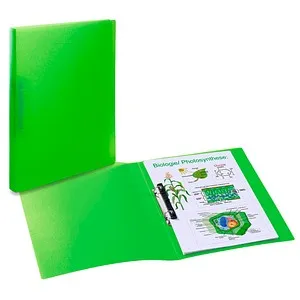 HERMA Ringbuch A4 Hellgrün Transluzent in grün von HERMA