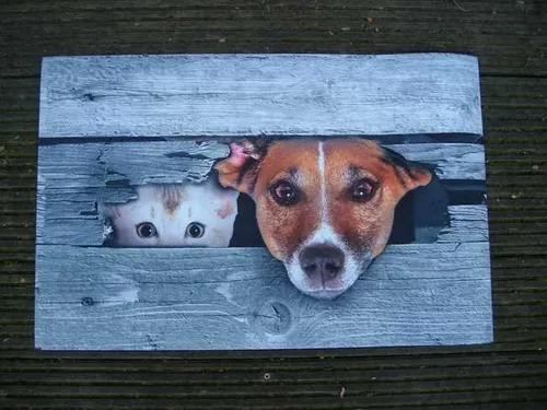 Fußabstreifer, Hund Katze Fußmatte, Abtreter, Türmatte, 70 x 45 cm