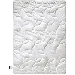 Produktbild Billerbeck Sommerbett, Textil, Füllung: Baumwollfüllung, Hanf, 155x220 cm, Schlaftextilien, Bettdecken, Sommerdecken