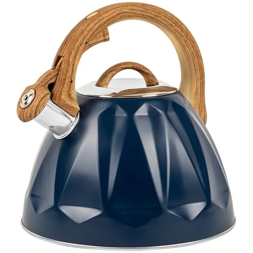 KARL HAUSMANN Wasserkessel Induktion von KARL HAUSMANN