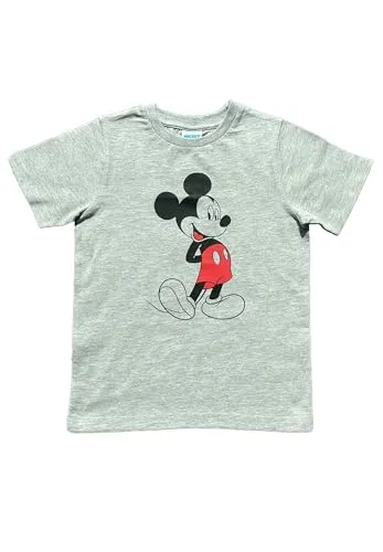 Mickey Mouse Jungen Kinder T-Shirt Grau (110-116, Numeric_110)
