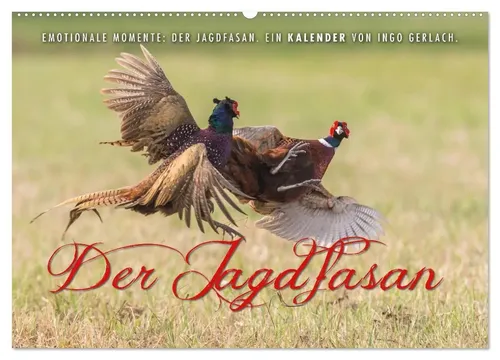 Ingo Gerlach | Emotionale Momente: Der Jagdfasan - Wandkalender 2026 - Entdecken Sie die Schönheit des Jagdfasans in diesem stilvollen Wandkalender. Ideal für Natur- und Tierliebhaber, bringt er Farbe und Leben in Ihr Zuhause.