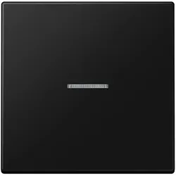 Jung Wippe mit Lichtleiter 1-fach Lackiert Graphitschwarz Matt