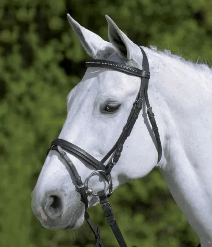 Waldhausen Schwarz Pony Trensenzaum Star Diamond