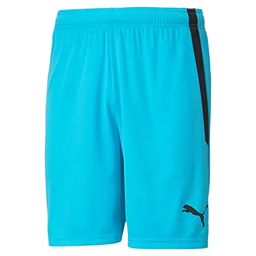 PUMA teamLIGA Shorts